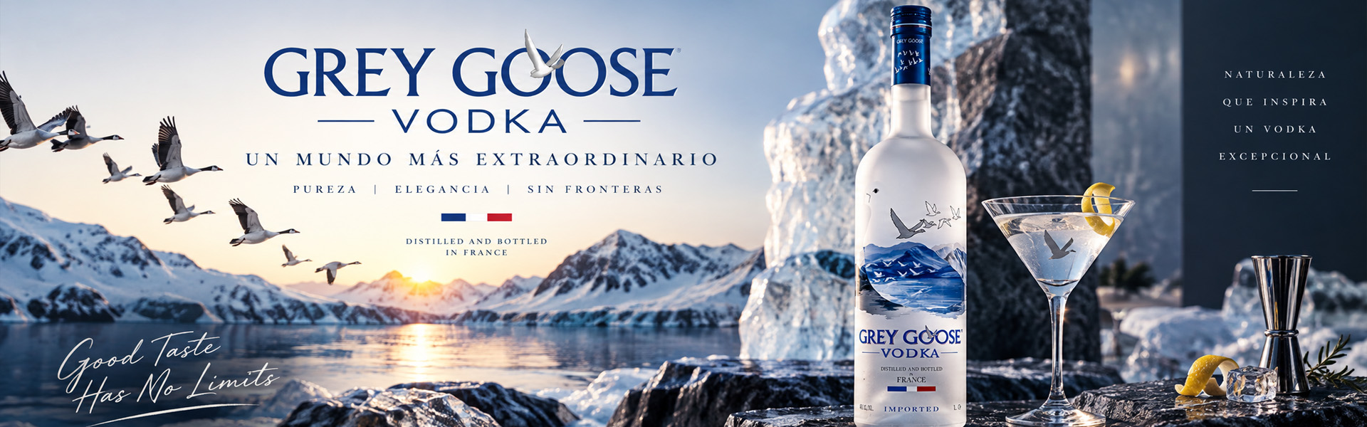vodka grey goose barato